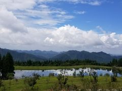 -玉舍国家森林公园