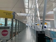 -约翰·菲茨杰拉德·肯尼迪国际机场