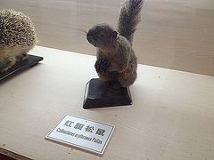 -下渚湖国家湿地公园科普馆