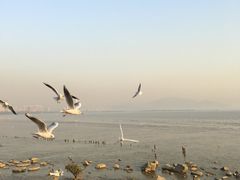 -深圳湾公园(南山区)
