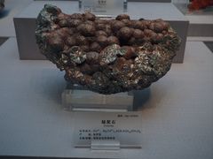 -湖南省地质博物馆