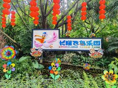 -广州长隆飞鸟乐园
