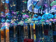 -梵高星空艺术馆(北京旗舰店)
