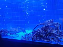 -荣记火锅(青悦城店)