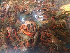 -盒马鲜生(红莲店)