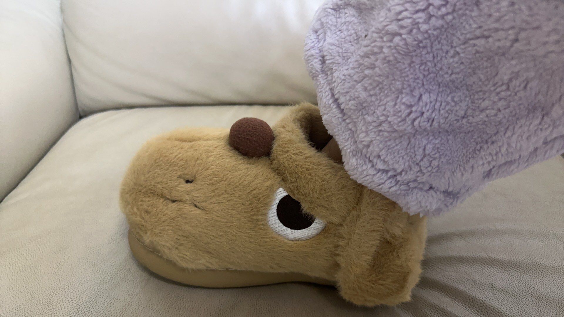 小狗拖鞋!超级可爱