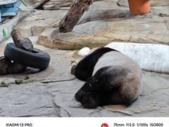 -广州长隆野生动物世界