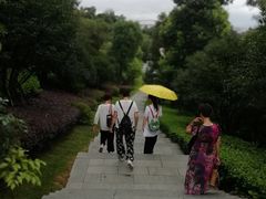 -金鸡山公园