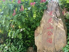-沐善人家中医·推拿·理疗·三伏灸(新洲店)
