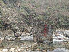 -石台牯牛降景区