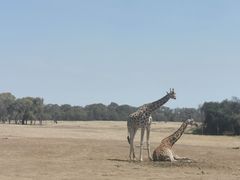 -威勒比开放式动物园
