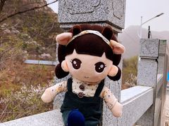 -大岭沟猕猴桃谷风景区