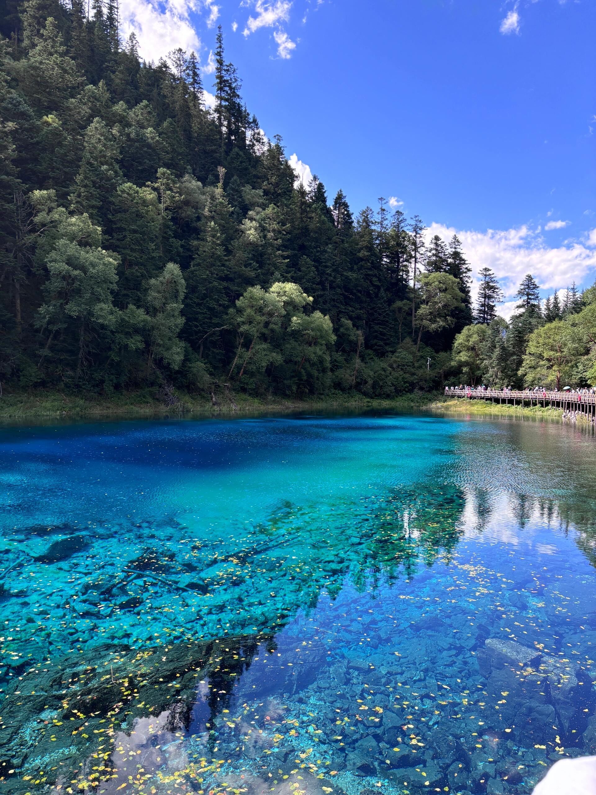 n第二段大巴:镇江关-九寨沟沟口,这段