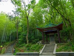 -青龙山国家森林公园