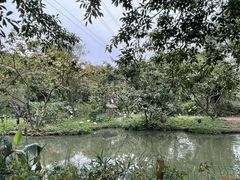 -广州长隆飞鸟乐园