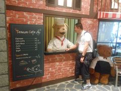 android_upload_pic-济州岛泰迪熊博物馆