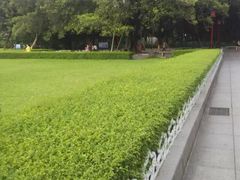 -广州中山纪念堂