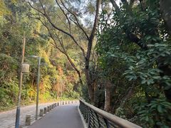 -梧桐山风景名胜区