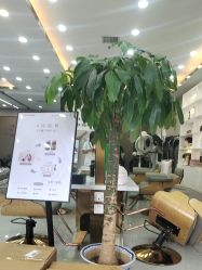 点击看大图 -爱秀造型