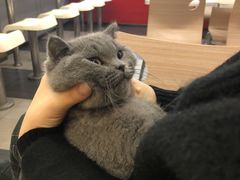 -芭比堂宠物医院·全科爱猫医院·仁德分院