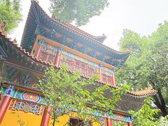 -宝通禅寺