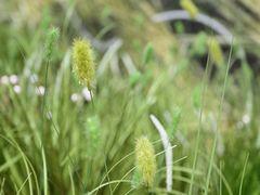 -龙湖重庆时代天街