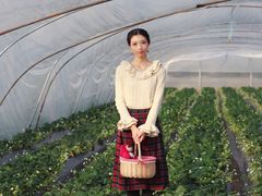 -喜杨洋草莓采摘园