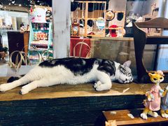 -小时光咖啡馆(开森度假森林店)