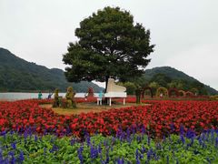 -广州市石门国家森林公园