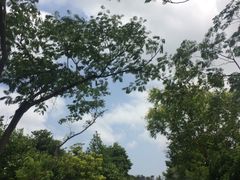 -乌石塘景区