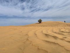 -迪卡侬(土桥店)