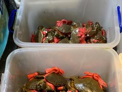 -强记海鲜·大排档(蛇口新街店)