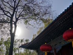 -晋祠公园