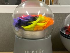 -ROSEONLY诺誓(国际广场购物中心店)