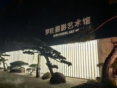 -罗红摄影艺术馆