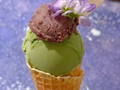 -野草莓自由市场