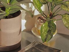 -LAB COFFEE来杯咖啡(浦仓路店)