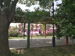 -苏州太湖西山岛开心农场