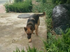 -招虎山国家森林公园-售票处