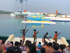 -秦皇岛乐岛海洋王国