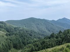 -驼梁风景区