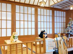 -豆柴町-柴犬主题狗咖(红鼎国际C座店)