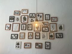 -MAISON门前杂货店