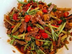 野山椒炒牛肉丝-乡吧啦·甲鱼铺子(海德二道店)