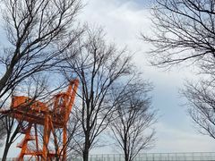 -龙美术馆(西岸馆)