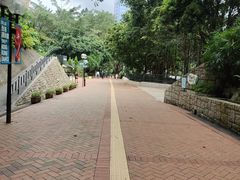-九龙公园