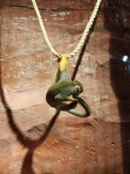 -Zoolung Zoolung动物主题公园(海信广场店)