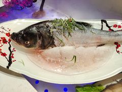 -解家河南菜(金水路店)