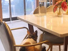 -后海16号·北京私房菜