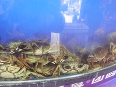 -蟹状元大闸蟹·年货·粽子(成都成华店)